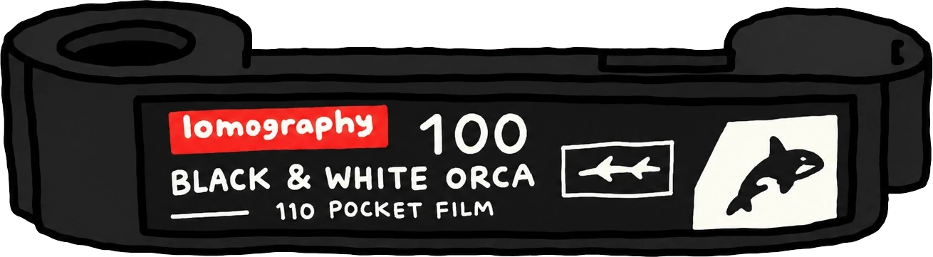 Lomography B&W Orca 110 필름
