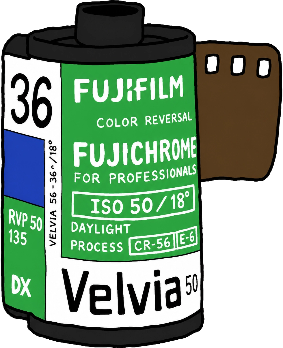 Fujifilm Velvia 50 필름