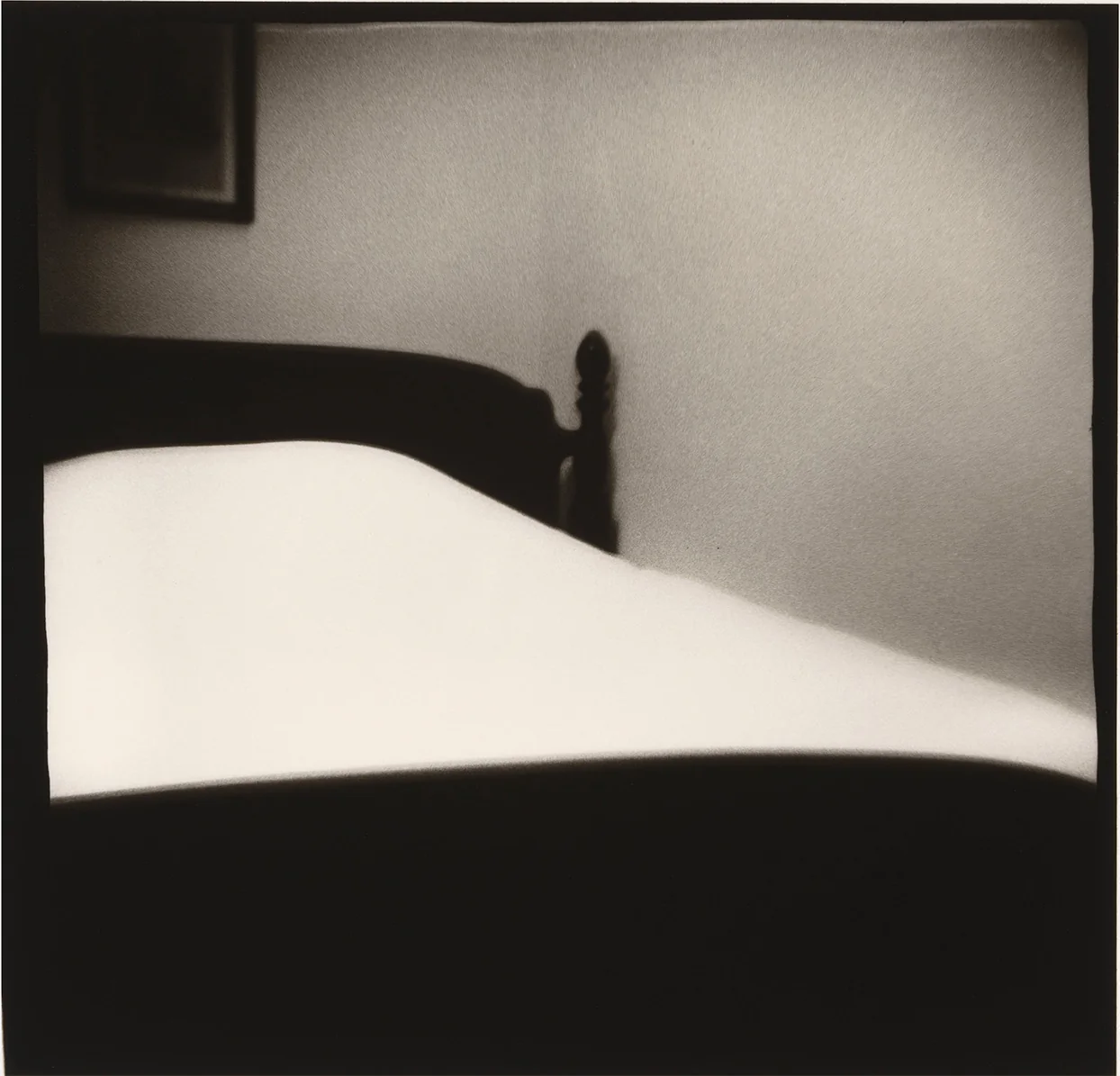 Nancy Rexroth, Who Knew How to Handle Blur