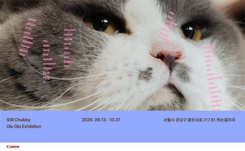 2026 / 10, Photo Exhibitions of the Month